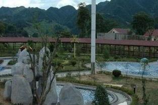 魏源温泉吃瓜,夏日消暑吃瓜，尽享休闲时光