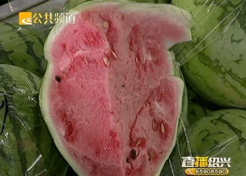 绍兴里吃瓜,夏日炎炎，吃瓜群众的热闹时光