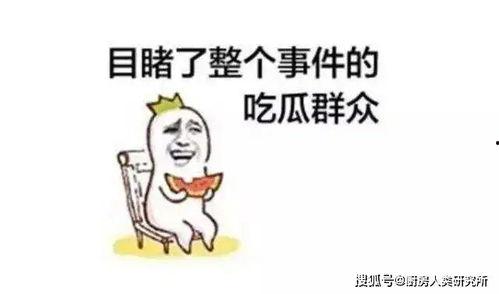 上班为了吃瓜,忙碌之余,吃瓜成趣