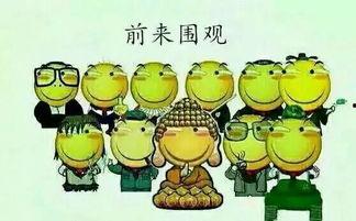 吃瓜群众萝岗,吃瓜群众眼中的繁华都市缩影