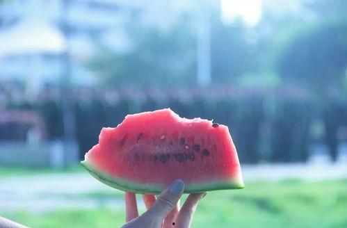 安静吃瓜王,揭秘娱乐圈幕后真相