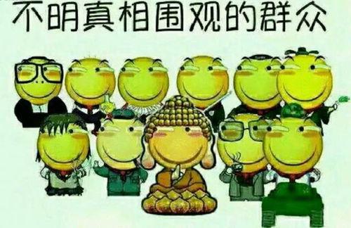 花豹当吃瓜群众,当吃瓜群众看世界