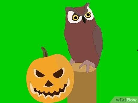 松鼠会吃瓜,揭秘它们对瓜果的偏爱之谜