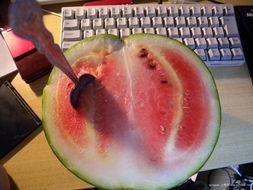 团哥吃瓜,揭秘娱乐圈那些不为人知的幕后故事