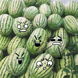 福利吃瓜官网,揭秘热门福利，畅享娱乐盛宴