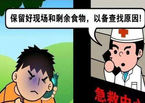 吃瓜中毒呕吐,揭秘夏日消暑美食背后的风险