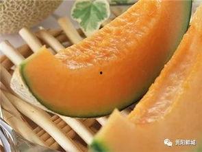 吃瓜群众吃哈密瓜,吃瓜群众倾情演绎哈密瓜盛宴