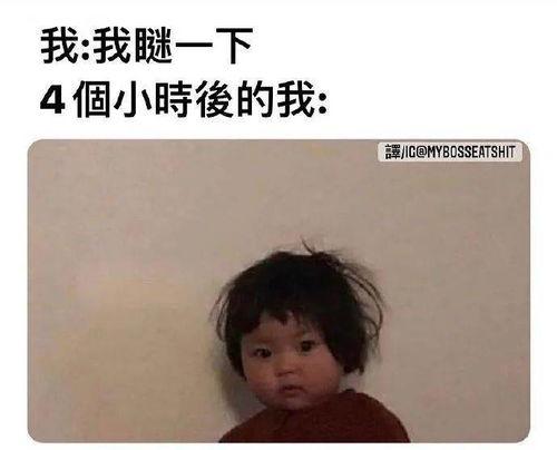 专心吃瓜的图片,专心吃瓜，品味生活瞬间